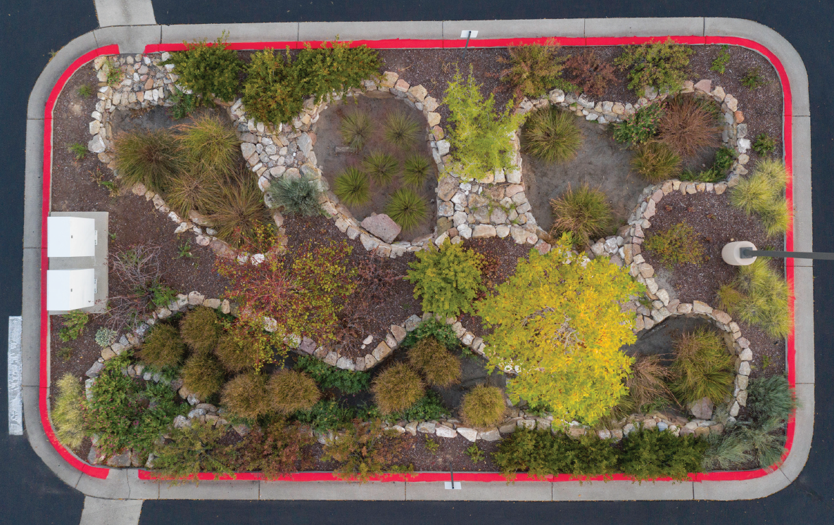 Rain Garden Example