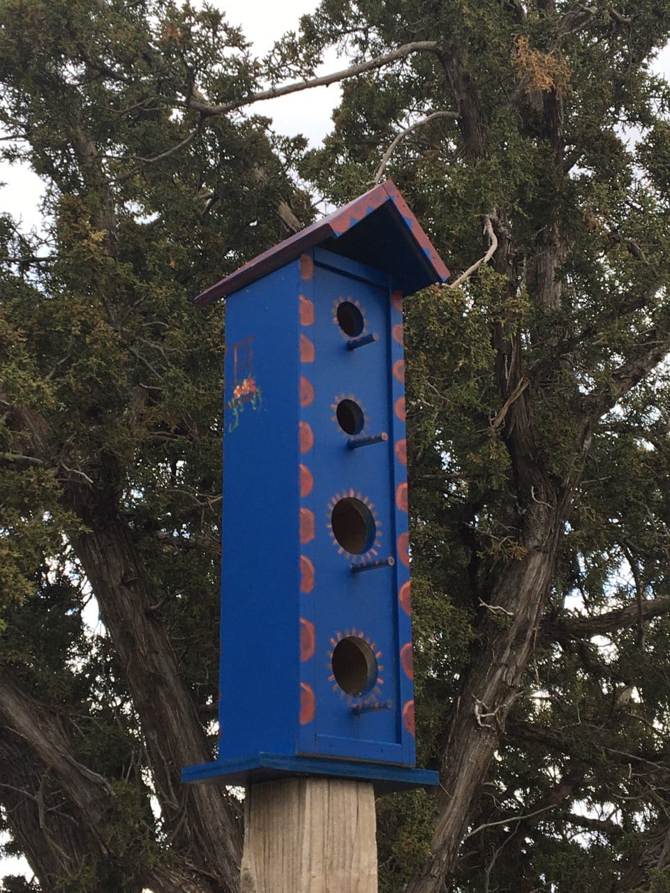 bird condo