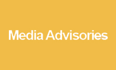 Media Advisors